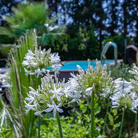 Villa Olivia Pool Tennis - D *